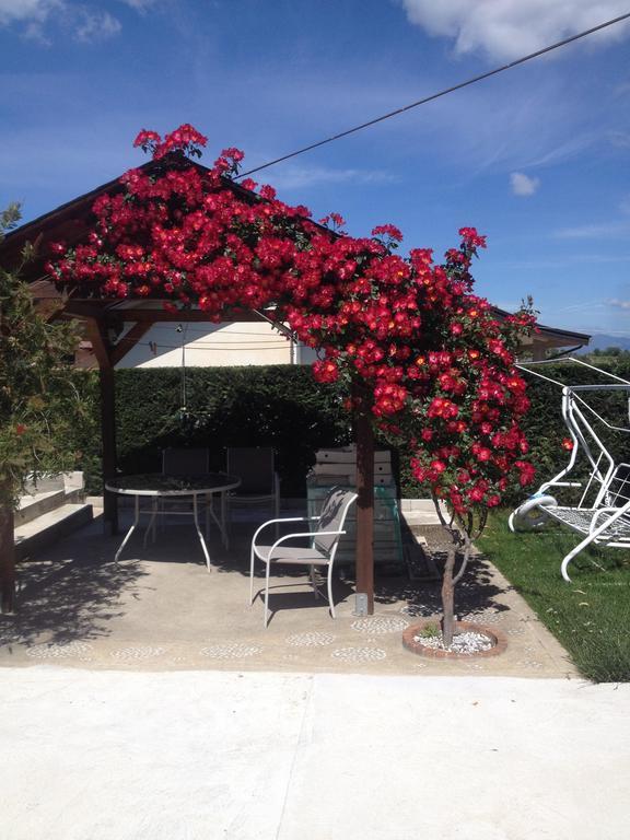 La Quercia Bed and Breakfast Cosenza Buitenkant foto
